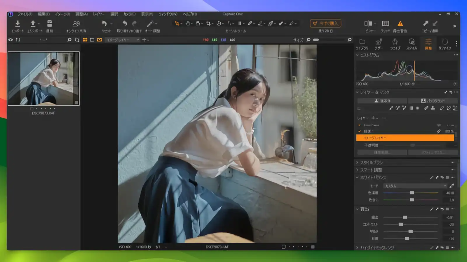 Capture one - Edit layers_03