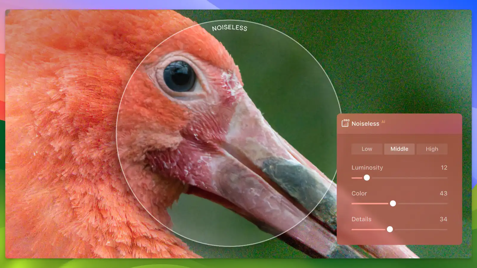 Luminar Neo - Denoise_04