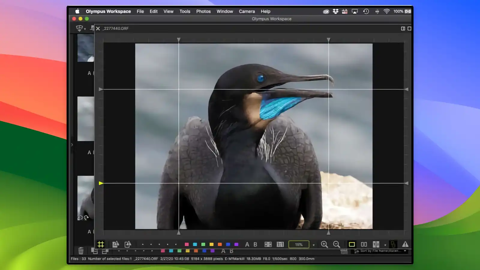 OM Workspace - Lens correction tools_03