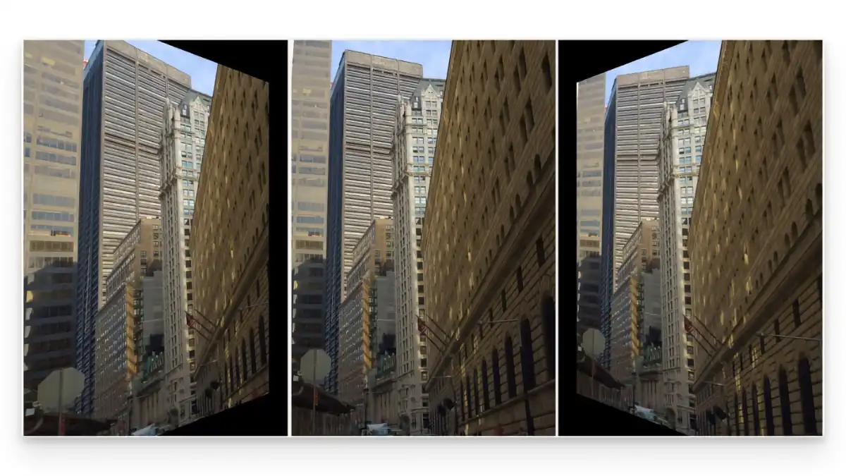 RawTherapee - Lens calibration_04