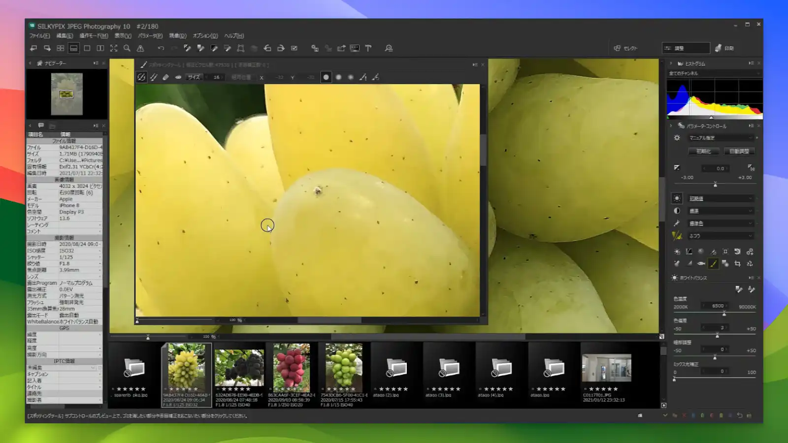 silkypix - Output high-resolution images_04